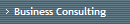 Business Consulting