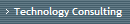 Technology Consulting